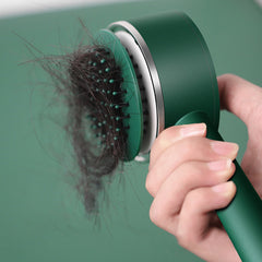 Anti-Static Brush